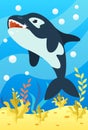 Cute smiling animals and underwater world. Cute killer whale smiles and shows teeth. Undersea world animals, algae and water