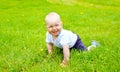 Cute smiling baby crawls on the grass