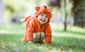 Cute smiling baby girl dressed in fox costume crawling on lawn in park Royalty Free Stock Photo