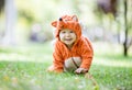 Cute baby girl dressed in fox costume crawling on lawn in park Royalty Free Stock Photo