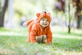 Happy baby girl dressed in fox costume crawling on lawn in park Royalty Free Stock Photo