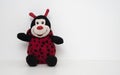 Cute Smiling Baby Ladybug Toy Isolated on a White Royalty Free Stock Photo