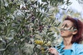 Cute smiling brunette woman harvesting organic olives