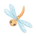 Cute smiling character dragonfly isolated on white. Funny insect for children. Watercolor cartoon illustration Royalty Free Stock Photo