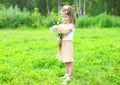 Cute smiling child with bouquet chamomiles flowers in summer