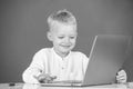 Cute smiling child using laptop computer, kid boy studying through online e-learning. Little funny programmer. Royalty Free Stock Photo