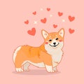 Cute smiling corgi dog with hearts vector cartoon illustration. Kawai corgi puppy print. Isolated on pink background