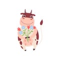 Cute Smiling Cow Standing on Two Legs with Bouquet of Flowers, Funny Farm Animal Cartoon Character Vector Illustration Royalty Free Stock Photo