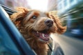 Cute smiling dog is ready to travel, looks out of the open car window. Dog sticking his head out of the car window. Generative AI Royalty Free Stock Photo