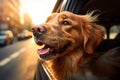 Cute smiling dog is ready to travel, looks out of the open car window. Dog sticking his head out of the car window. Generative AI Royalty Free Stock Photo