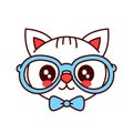 Cute smiling funny hipster cat in glasses