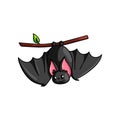 Cute smiling grey bat stay on tree branch look