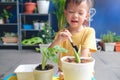 Asian 3 - 4 years old toddler boy kid holding small gardening shovel planting young tree on soil at home indoor garden Royalty Free Stock Photo