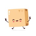 Cute smiling happy parcel,delivery box