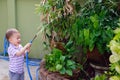 Cute smiling little Asian 2 year old toddler baby boy child having fun watering the plants from hose spray in the garden at home Royalty Free Stock Photo