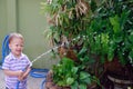 Cute smiling little Asian 2 year old toddler baby boy child having fun watering the plants from hose spray in the garden at home Royalty Free Stock Photo