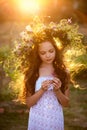 Cute smiling little girl with flower wreath on the meadow at the farm. Portrait of adorable small kid outdoors. Midsummer Royalty Free Stock Photo