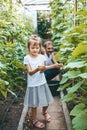 Cute smiling little girl holding a freshly picked cucumber Royalty Free Stock Photo