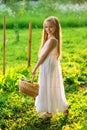 Cute smiling little girl holds basket  with fruit and vegetables at the farm Royalty Free Stock Photo