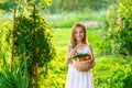 Cute smiling little girl holds basket with fruit and vegetables Royalty Free Stock Photo