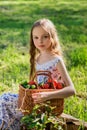 Cute smiling little girl holds basket  with tomatoes and cucumbers at the farm Royalty Free Stock Photo