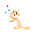 Cute smiling orange cat is playing with flying butterfly Royalty Free Stock Photo