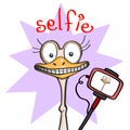 Cute smiling ostrich and purple background and selfie Royalty Free Stock Photo