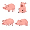 Cute smiling pigs playing in mud. Vector farm animal character set. Royalty Free Stock Photo