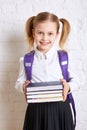 Cute smiling schoolgirl in uniform standing with books and smiling Royalty Free Stock Photo