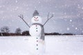 Cute smiling snowman in winter day, happy holidays concept