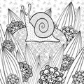 Cute snail adult coloring book page.