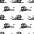 Cute snail cartoon pattern of funny ethnic drawings. Drawing by hand, pencil