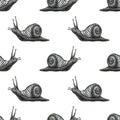 Cute snail cartoon pattern of funny ethnic drawings. Drawing by hand, pencil