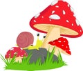 Cute snail cartoon with red mushroom