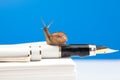 Cute snail on the fountain pen