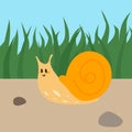 Cute snail. Hand dawn garden character in park. Childish decoration. Wildlife fauna. Small colorful animals in nature