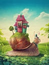 Cute snail with house