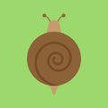 Cute snail round vector icon