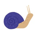 Cute snail in a shell in blue. Vector hand drawn cartoon