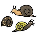 Cute snail and shell cartoon vector illustration motif set. Hand drawn garden pest blog icons Royalty Free Stock Photo