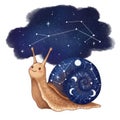 Cute Snail Shell Constellation Night Sky Illustration Royalty Free Stock Photo