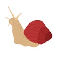 Cute snail in a shell in red color. Vector hand drawn cartoon Royalty Free Stock Photo