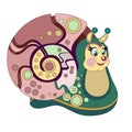 Cute snail on a white background Royalty Free Stock Photo