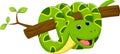 Cute snake cartoon