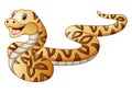 Cute snake cartoon Royalty Free Stock Photo