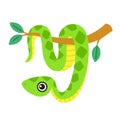 Cute snake, a smiling boa character hanging on a tree branch. Vector illustration isolated on a white background Royalty Free Stock Photo