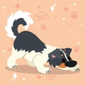 Cute sniffing border collie dog cartoon character Vector