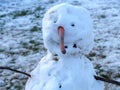 Cute snowman built by children in winter