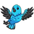 Cute spangled cotinga bird cartoon flying