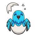 Cute spangled cotinga bird cartoon inside from egg